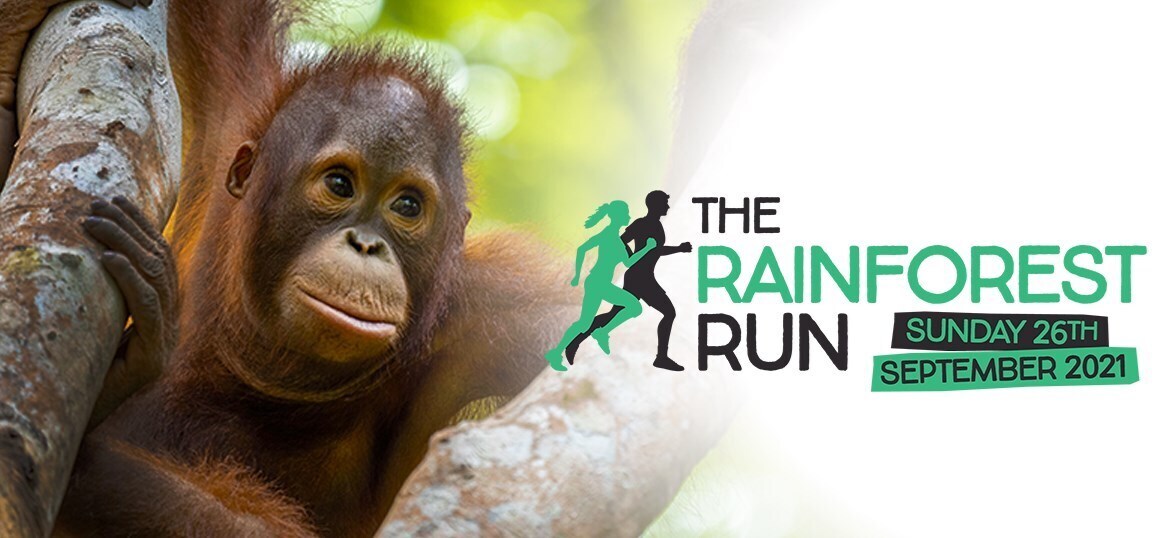 The Rainforest Run